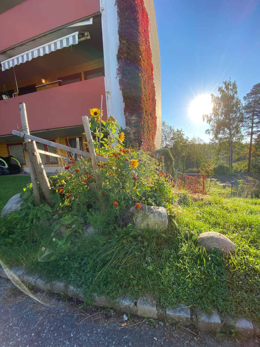 Blomster og grøntareal ved blokk i Askerlia